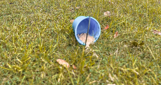 POV: Fighting the Sand Bucket Struggle ⛳